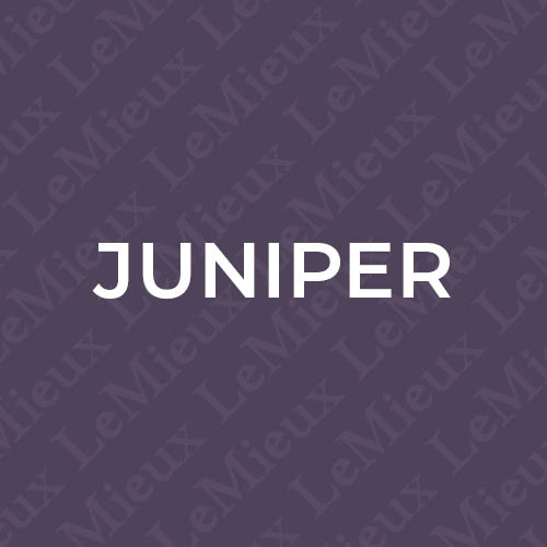 LeMieux Juniper Collection