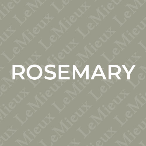 LeMieux Rosemary Collection