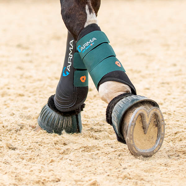 ARMA Horse Boots