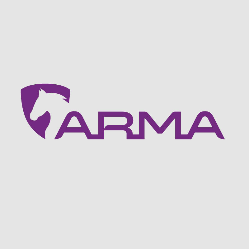 Arma Horse Equipment
