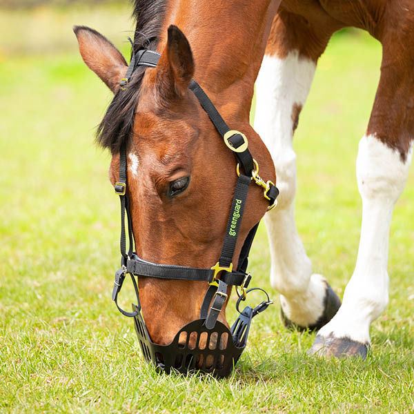 Greenguard Grazing Muzzles