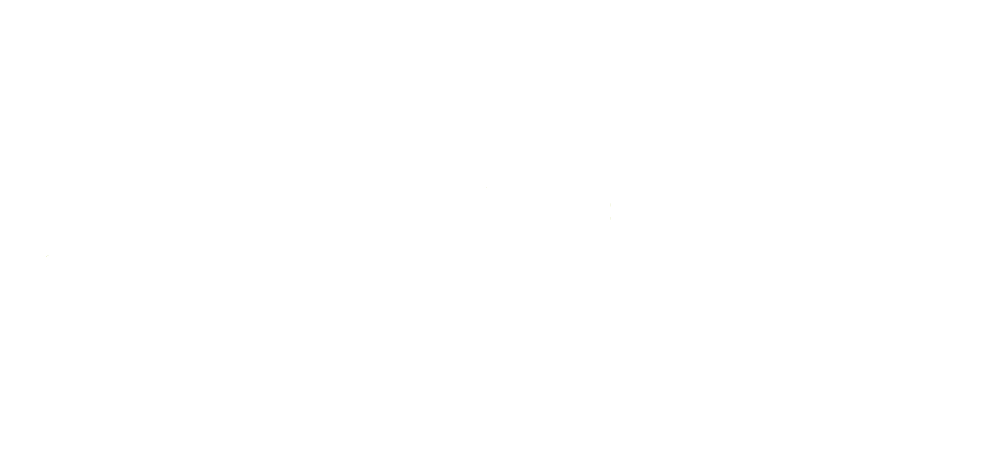 Tempest Horse Rugs