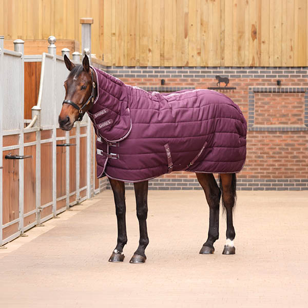 Tempest Horse Rugs
