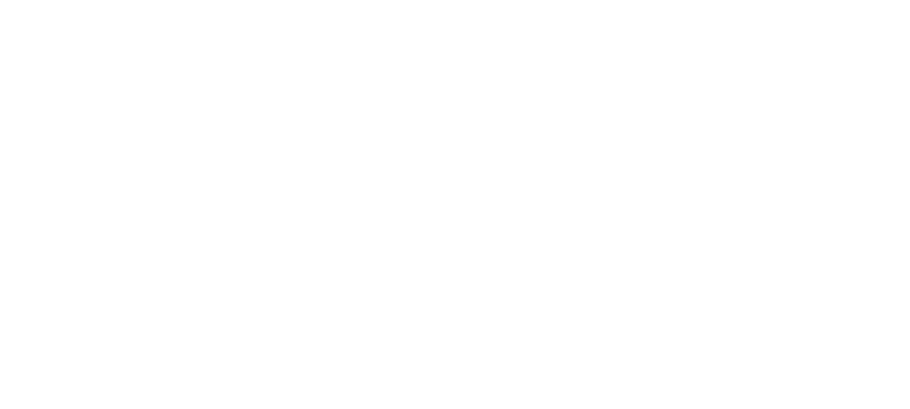 Typhoon Horse Rugs