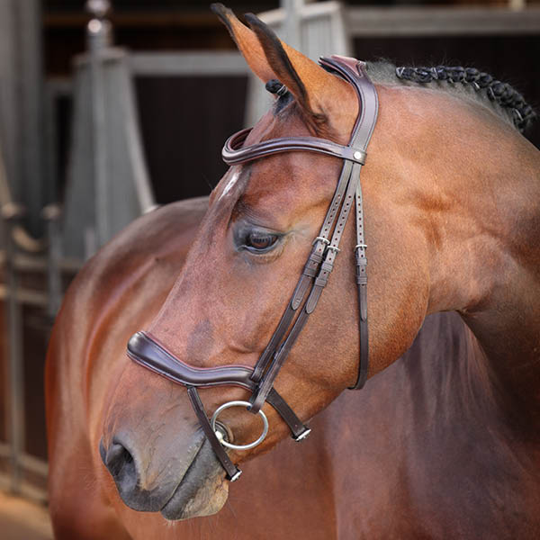 Velociti Horse Tack