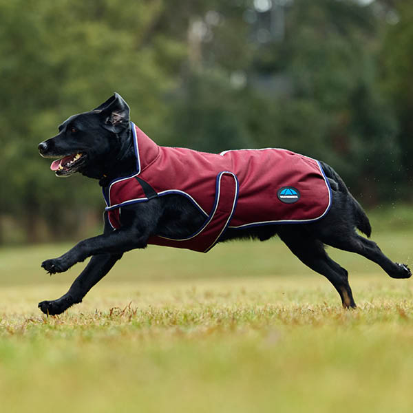WeatherBeeta Dog Coats & Accessories