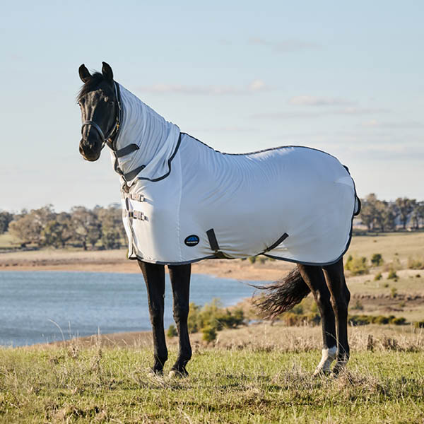 WeatherBeeta Fly Protection