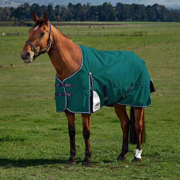 WeatherBeeta Horse Rugs