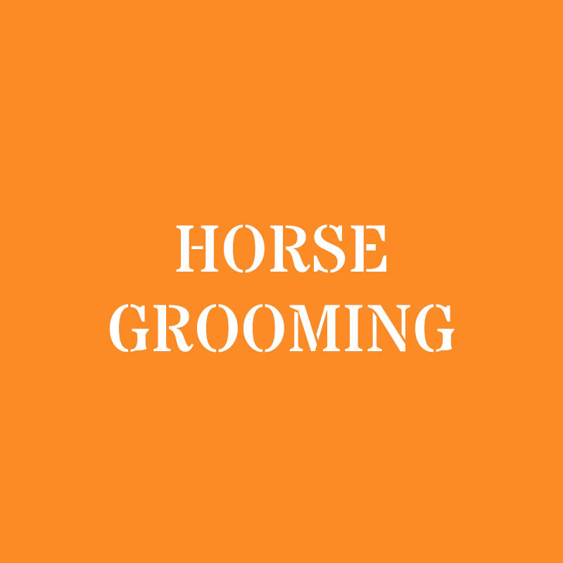 Horse Grooming Clearance