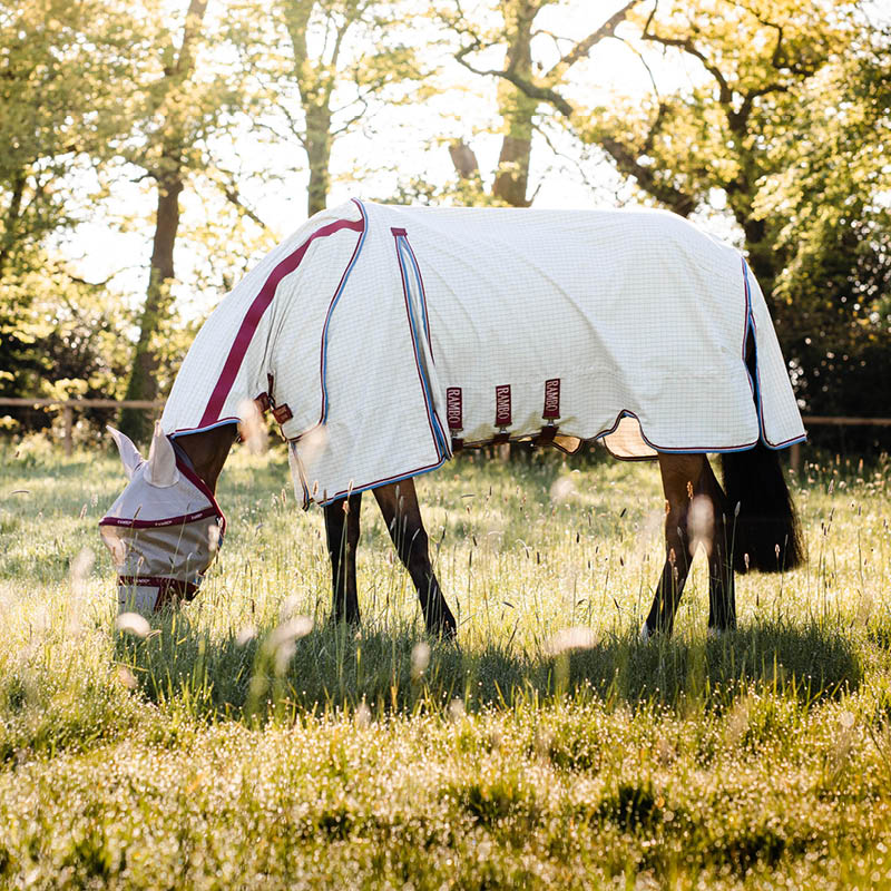 Clearance Fly Rugs & Masks