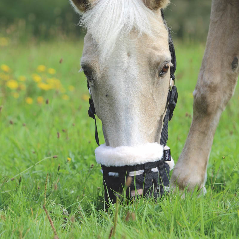 Grazing Muzzles & Nose Nets