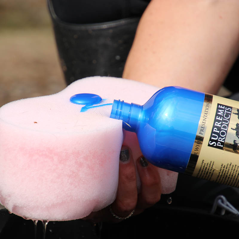 Horse Shampoos & Conditioners