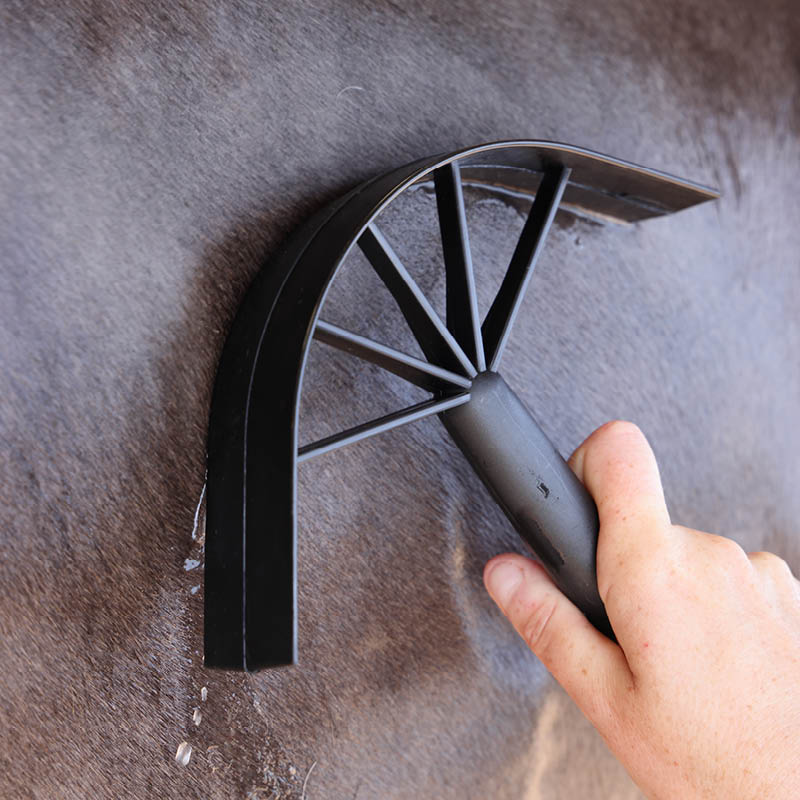 Horse Washing Equipment