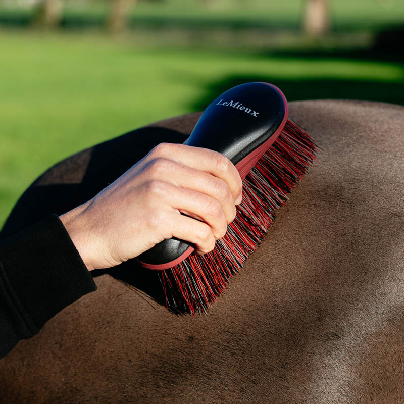 Grooming Equipment