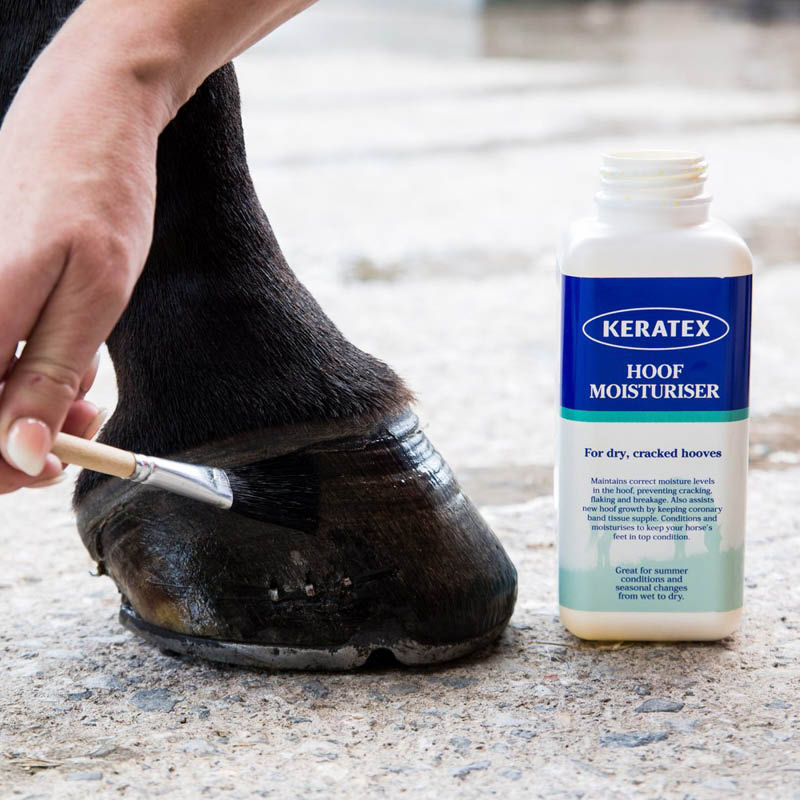 Hoof Care
