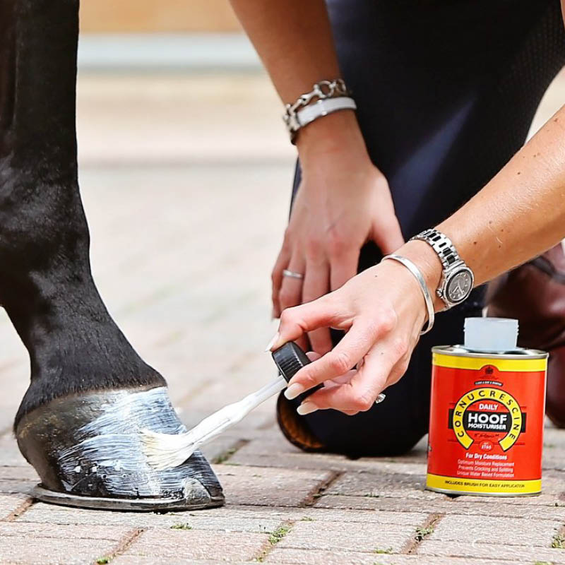 Hoof Moisturisers
