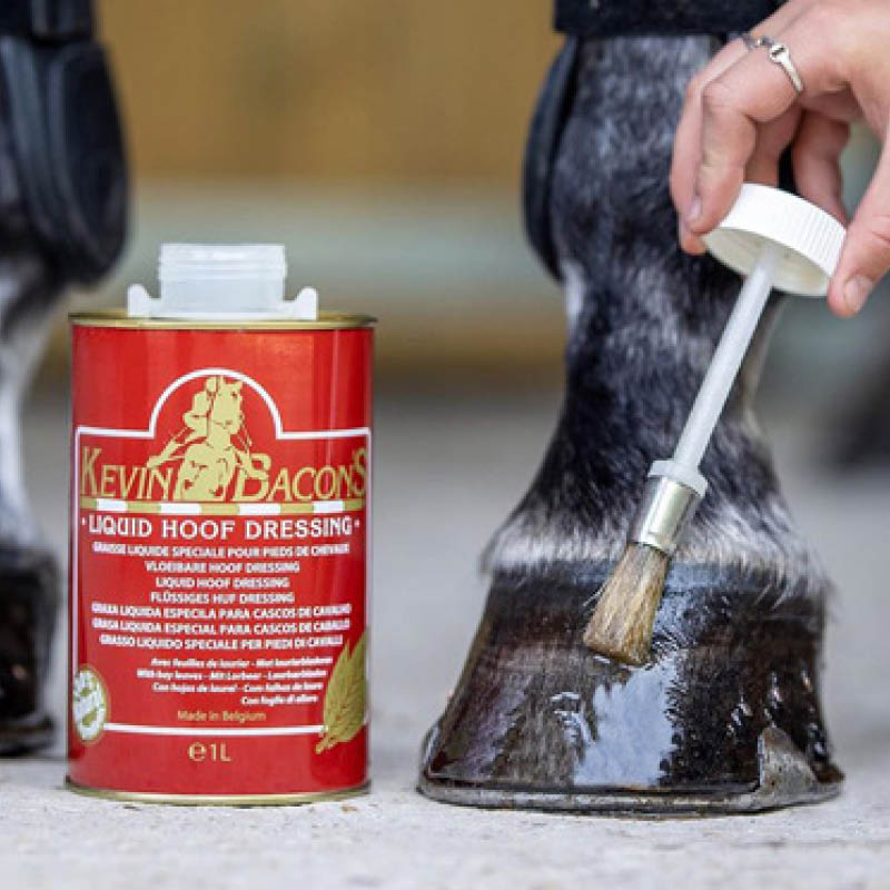Hoof Oils & Dressings