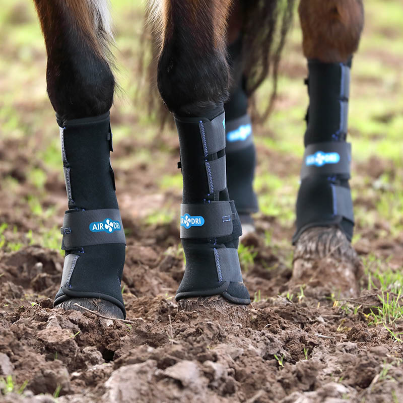 Stable & Turnout Boots