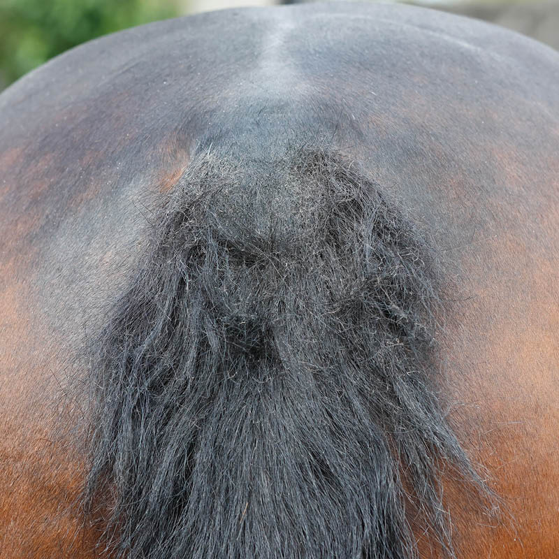 Itch Relief & Skin Treatments