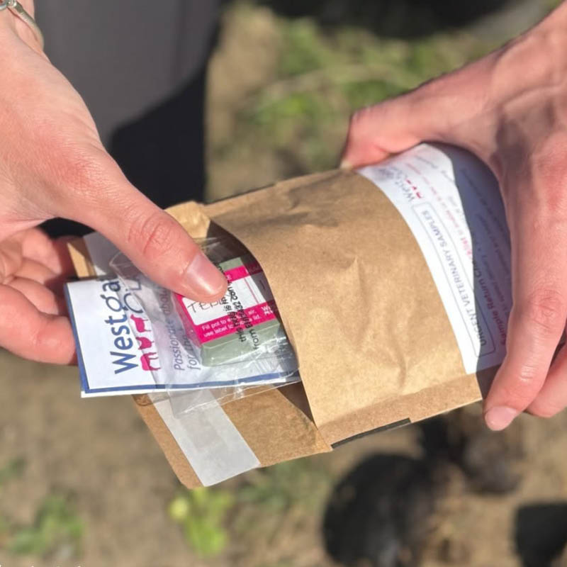 Worming Test Kits