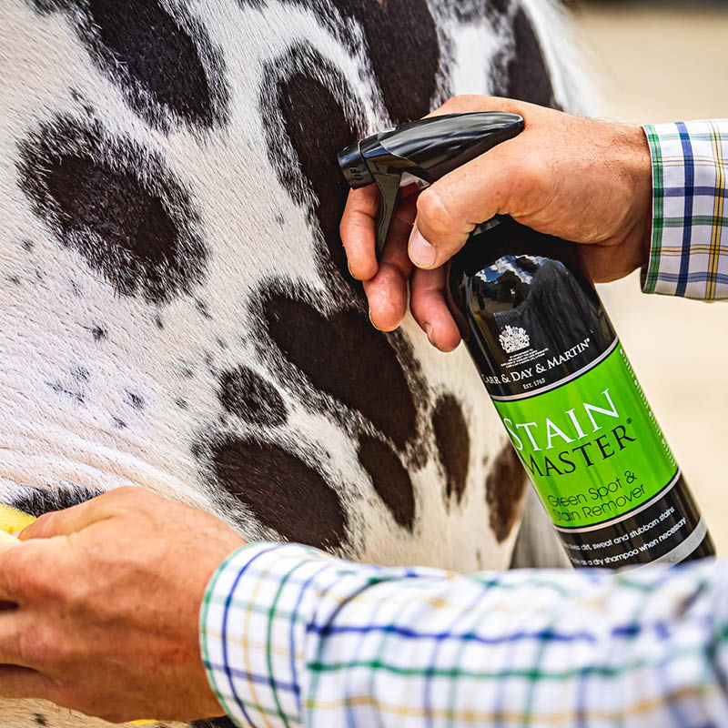 Horse Grooming