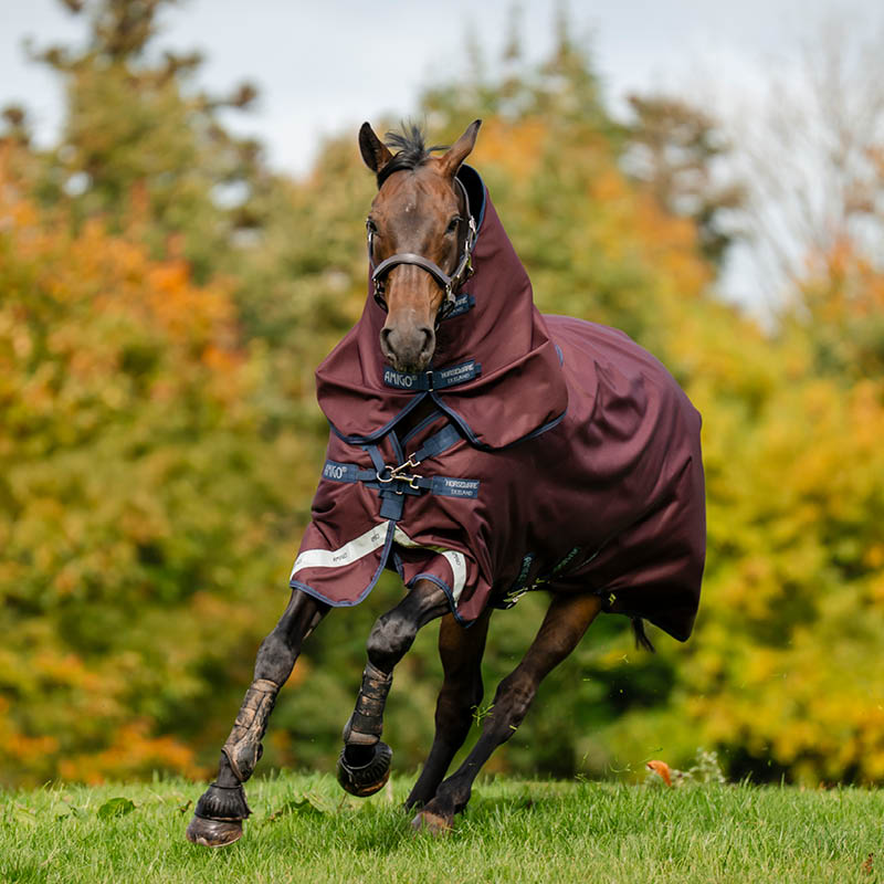 Horse Rugs
