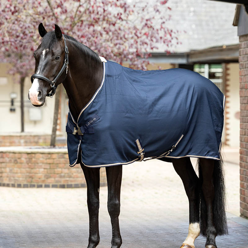 Stable Sheets