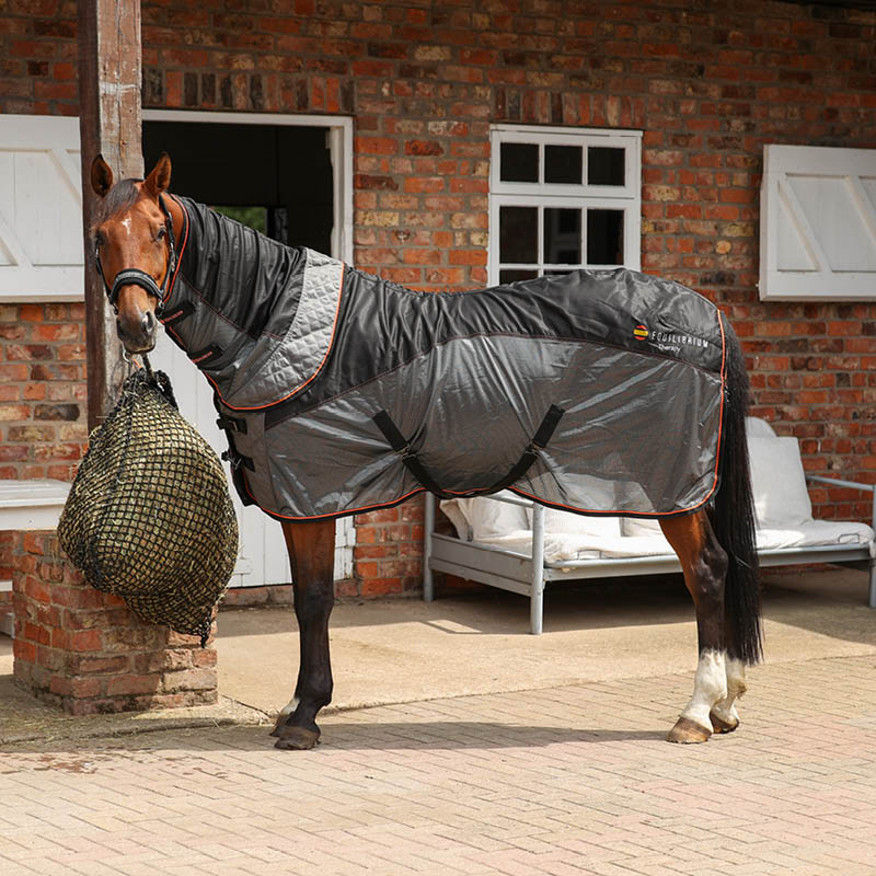 Therapy Rugs