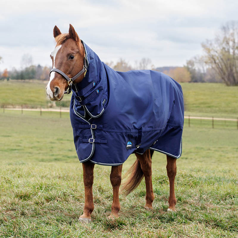 Turnout Rugs