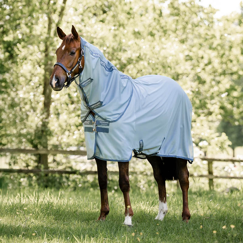Fly Rugs