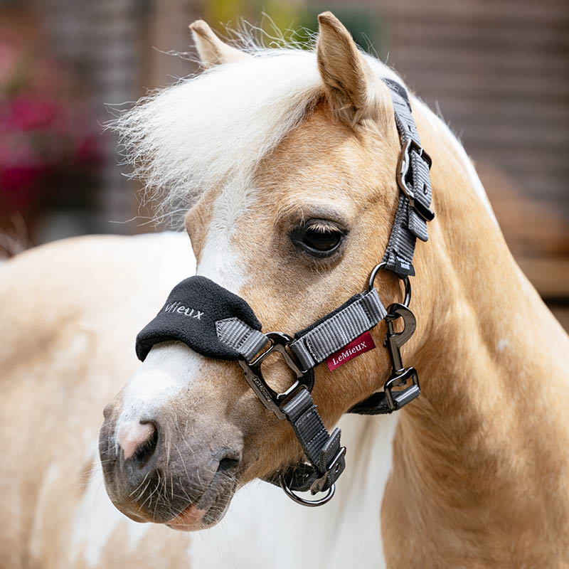 Pony Headcollars & Lead Ropes
