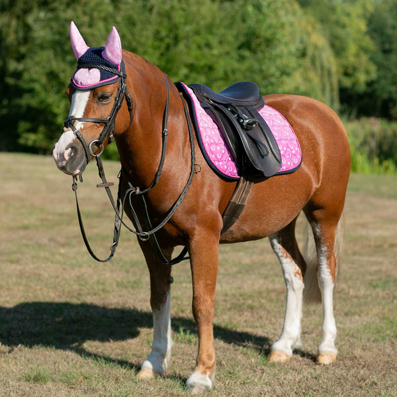 Pony Essentials