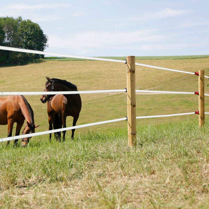Field, Fencing & Arena