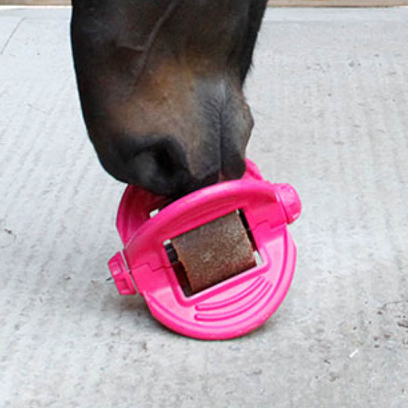 Bizzy Horse