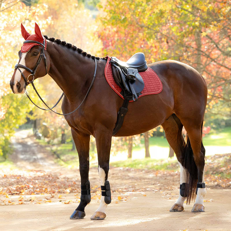 Tack & Saddlery