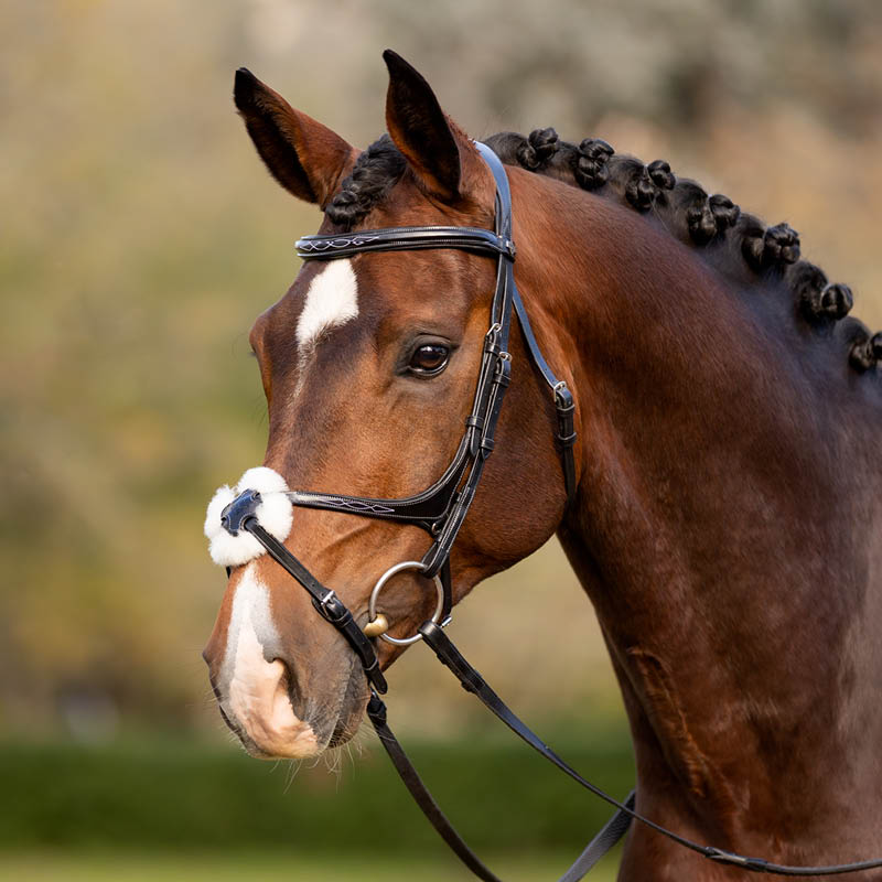 Bridle Parts