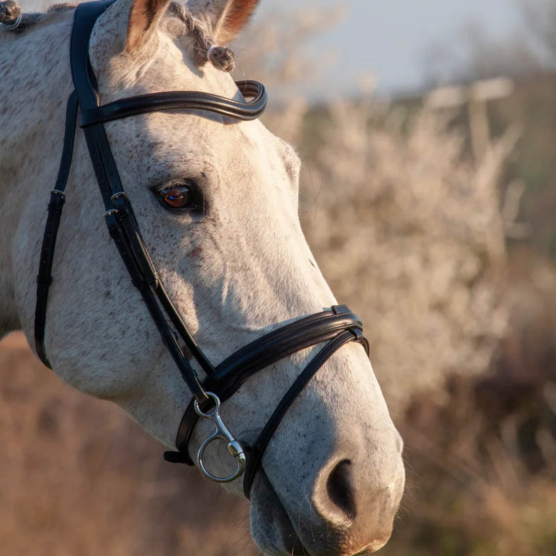 Bridles