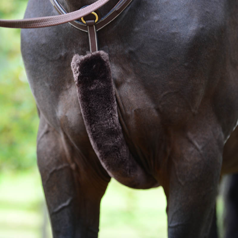 Tack Accessories
