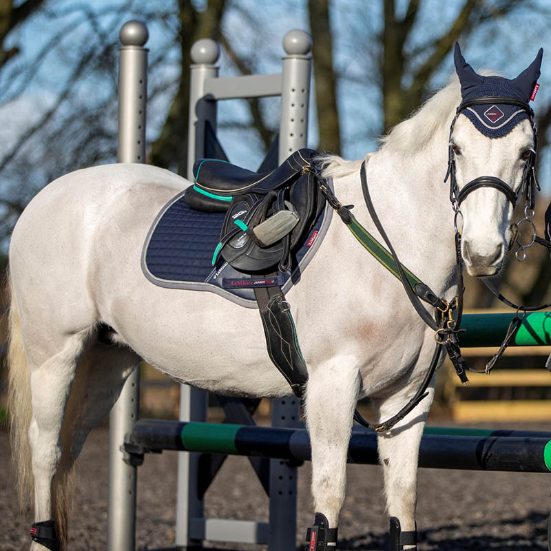 Pony Club Pony Kit