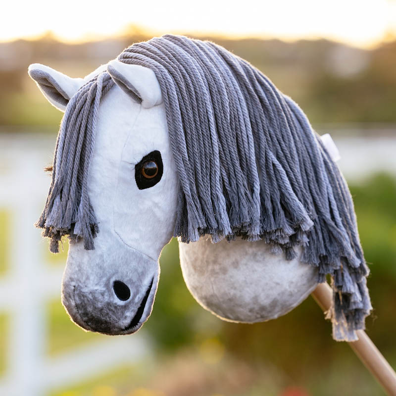 LeMieux Hobby Horses