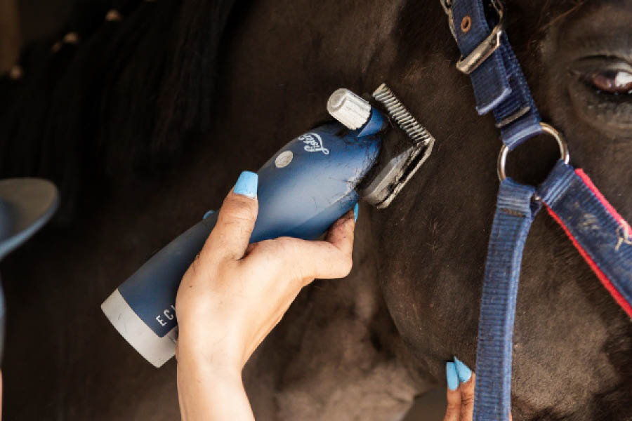 Everything You Need For Clipping