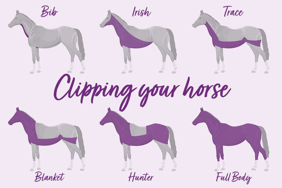 Horse Clipping Guide