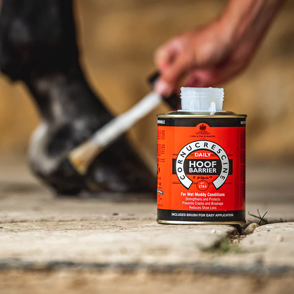 Winter Hoof Care