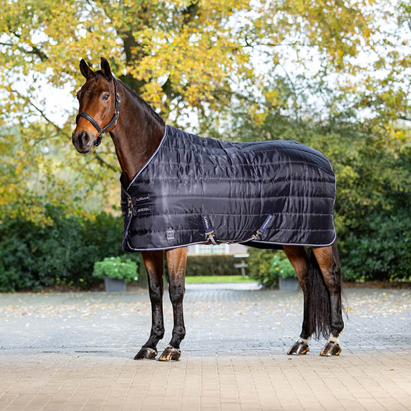 Stable Rugs