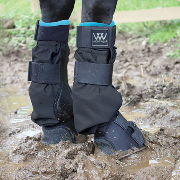 Stable & Turnout Boots
