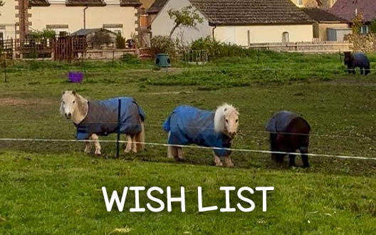 Dinky Ponies Wish List