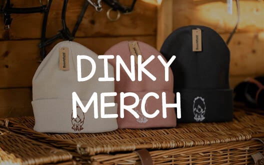 Dinky Ponies Merch