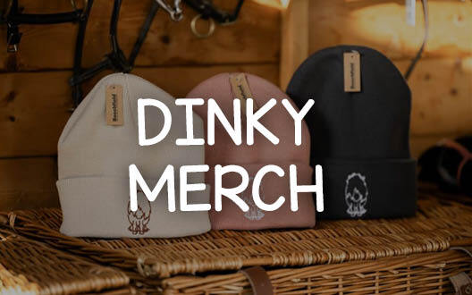 Dinky Ponies Merch