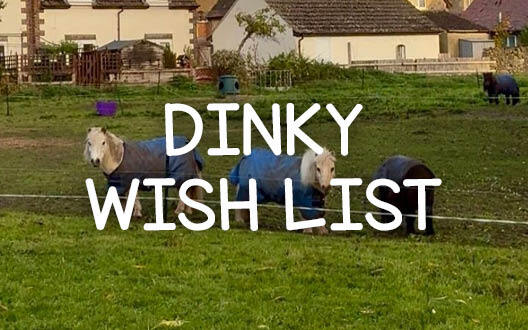 Dinky Ponies Wish List