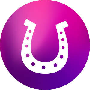 Dinky Ponies Essentials